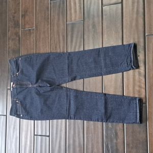 Anne Taylor loft skinny jeans